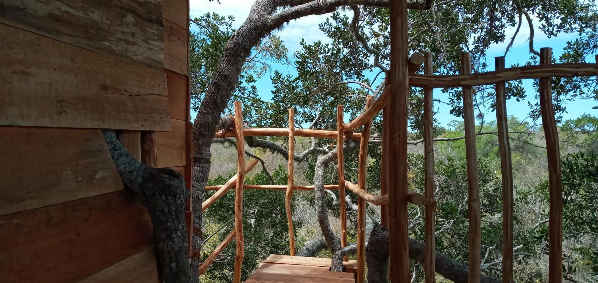 Mamba Yala Ξενοδοχείο Tissamaharama Εξωτερικό φωτογραφία