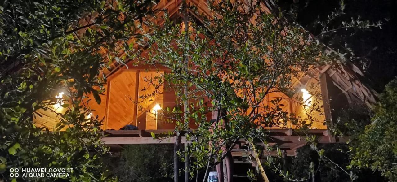 Mamba Yala Ξενοδοχείο Tissamaharama Εξωτερικό φωτογραφία